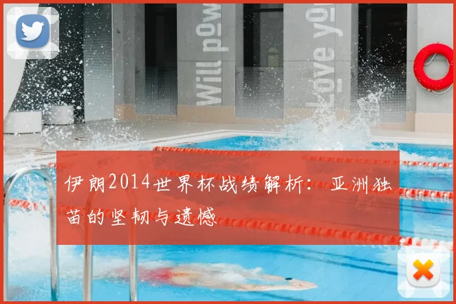 伊朗2014世界杯战绩解析：亚洲独苗的坚韧与遗憾