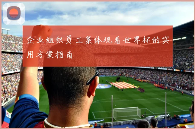 企业组织员工集体观看世界杯的实用方案指南