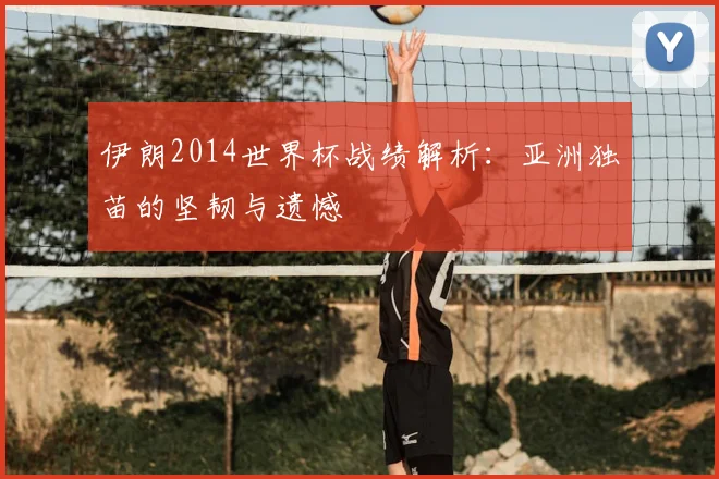 伊朗2014世界杯战绩解析：亚洲独苗的坚韧与遗憾