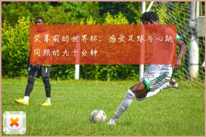 荧幕前的世界杯：感受足球与心跳同频的九十分钟