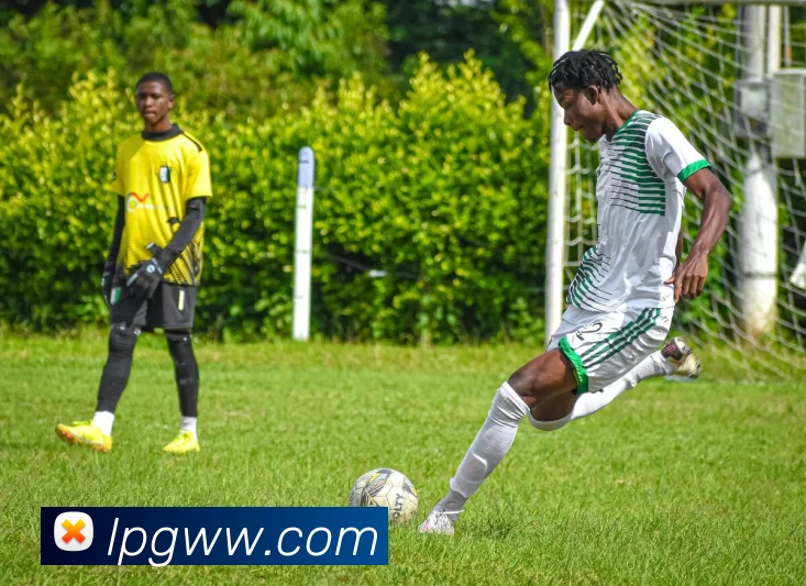 欧宝app登录入口发展历程